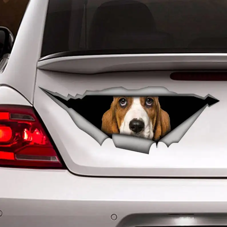 

2021 Basset Hound car decal , pet decal, Vinyl decal, basset hound sticker, funny decal, dog sticker