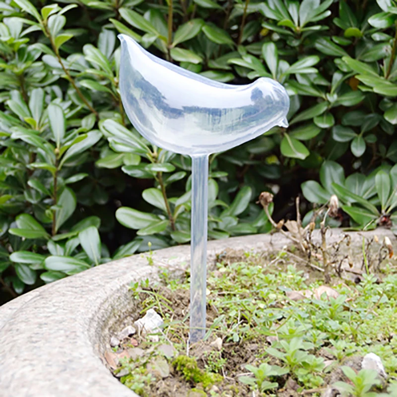 Автоматическая система подачи воды из прозрачного стекла для домашних растений