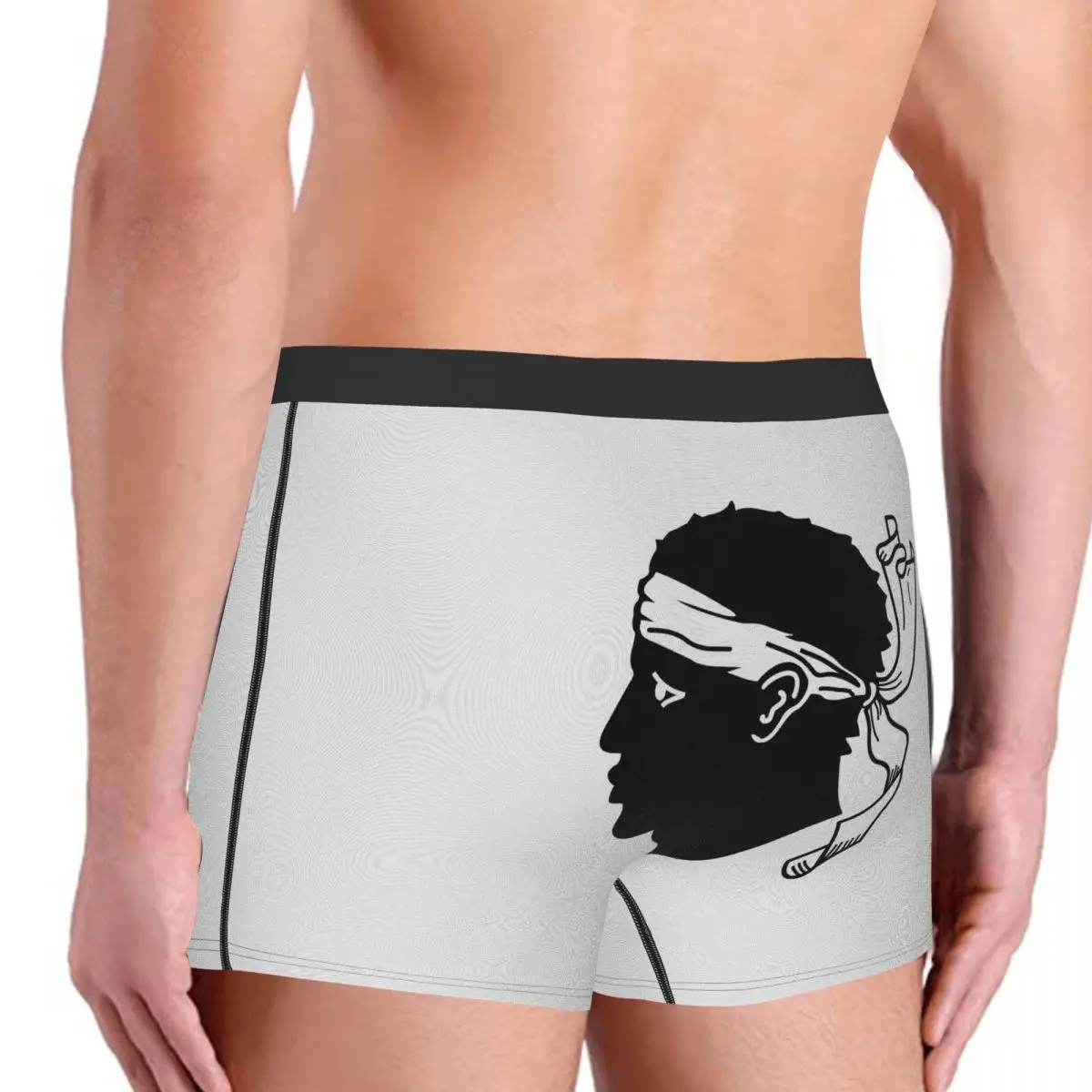 Flag Of Corsica Men's Boxer Briefs Flags of the regions of France Nerd elastic pants for men