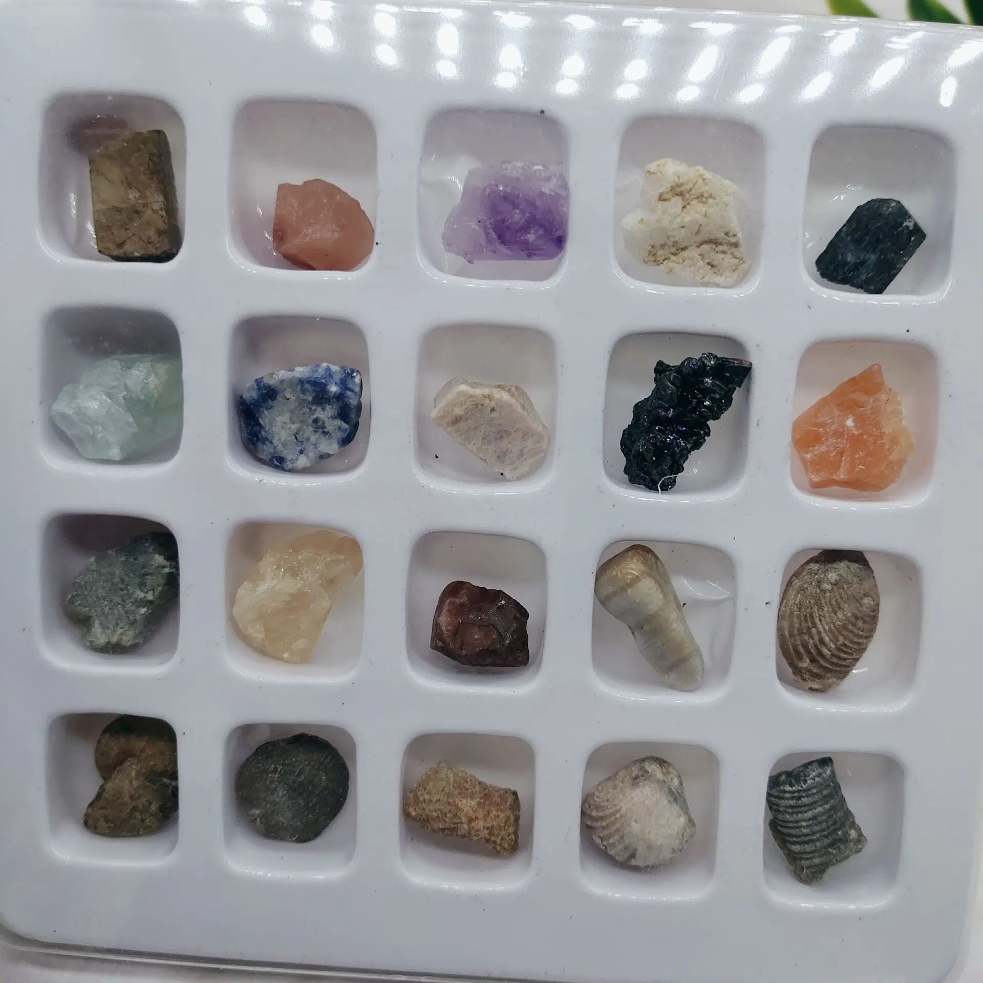 Box stones. Коллекция необработанных минералов.