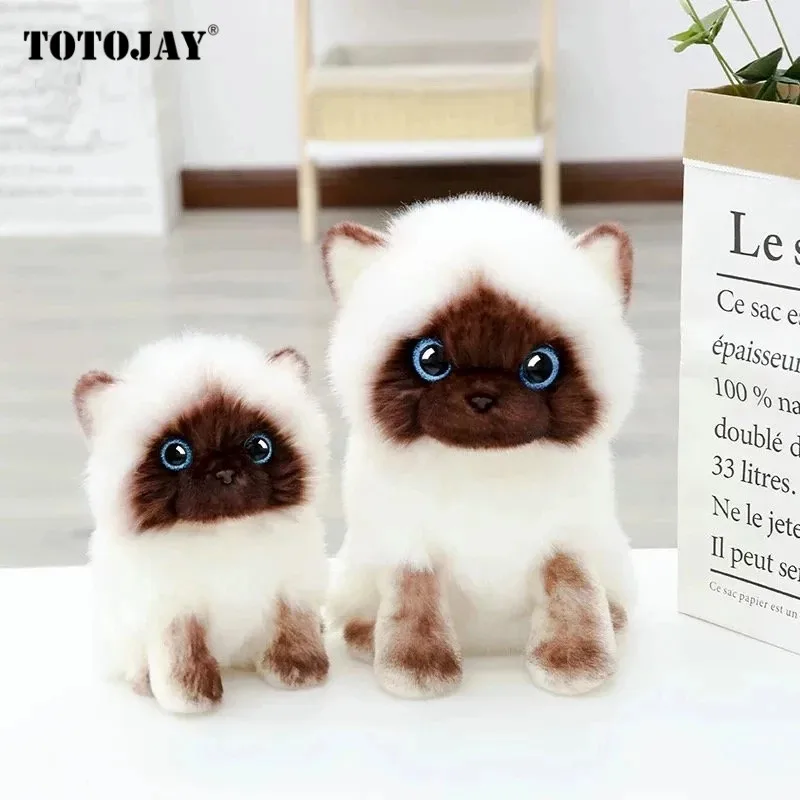 Игрушка плюшевая сиамская кошка с синими блестками 20-30 см | Игрушки и хобби