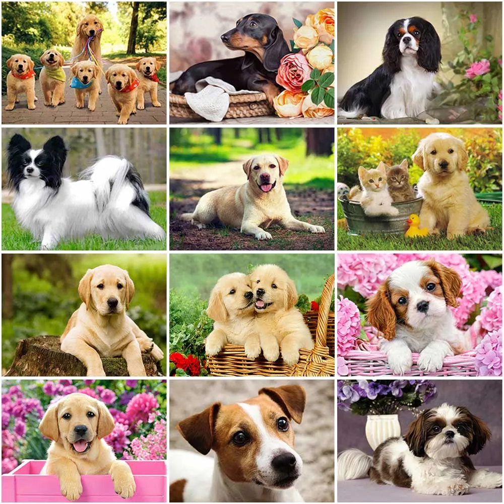 

5D Diy Dog Diamond Painting Cross Stitch Full Round Drill Diamond Embroidery Mosaic Rhinestone Wall Art Home Decor