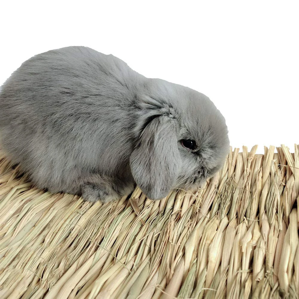 

Natural Grass Hamster Bed Mat Rabbit Grass Mat Nest Cage Safe Chew Toy For Guinea Pig Rabbit Woven Bed Pets House Pet Supply