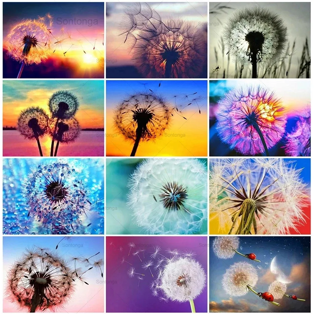 

5D Diy Diamond Painting Full Drill Dandelion Sun Set Landscape Square Round Diamond Embroidery Cross Stitch Mosaic Home Decor