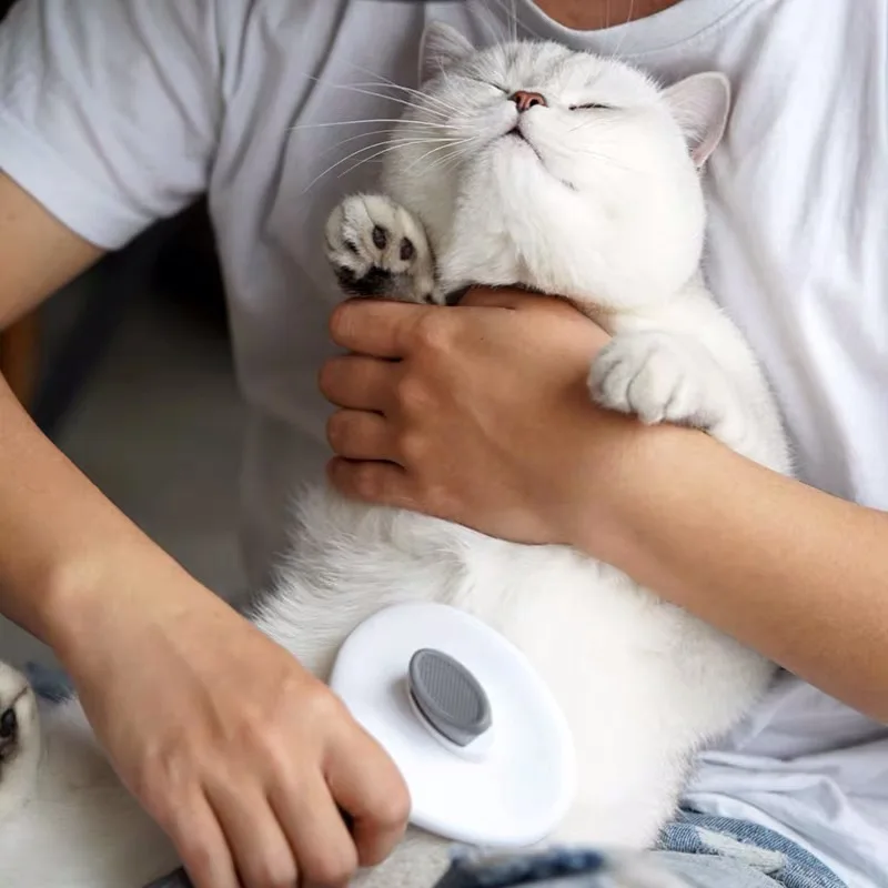 

Rubber Pet Hair Comb Pet Cats And Dogs Beauty Cleaning Dust Removal Hair Remover Massage Brush Animal Supplies Dog Accessories