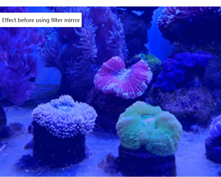 Coral коралловые цилиндрические линзы для фотоаппарата морской цилиндрический фильтр три объектива с макрофильтр аквариум синий свет
