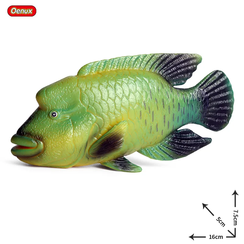 Oenux морские рыбки животные модель моделирование SeaLife Coelacanth Sailfish Фигурки ПВХ аквариум реалистичные Развивающие детские игрушки - Цвет: without box