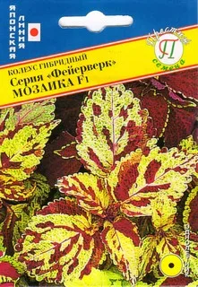 Колеус Фейерверк Мозайка F1 10шт/10/50 (цена за один пакет) | Дом и сад