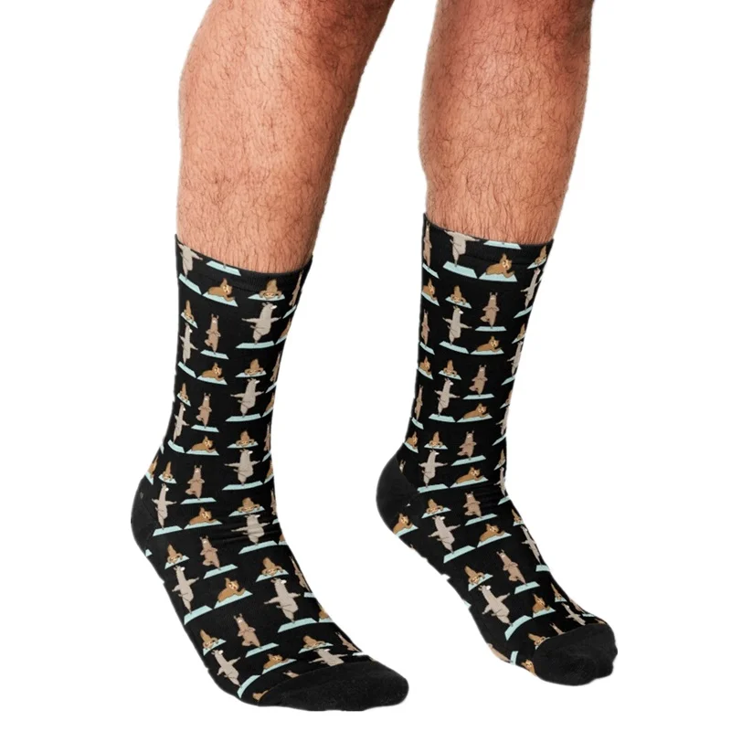 

2021 funny Socks Men harajuku Sloth On A Bike Socks Printed Happy hip hop Men Socks Novelty Skateboard Crew Casual Crazy Socks