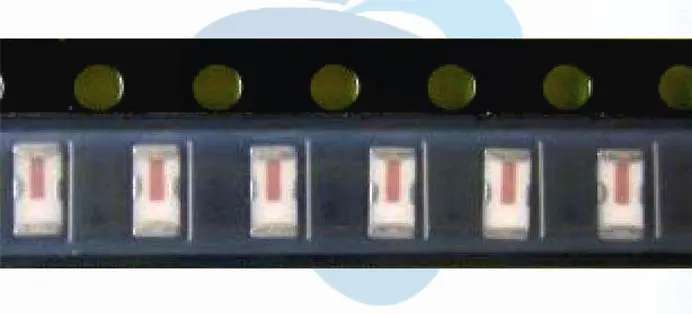 Новинка 100%, фотосессия, фотография,