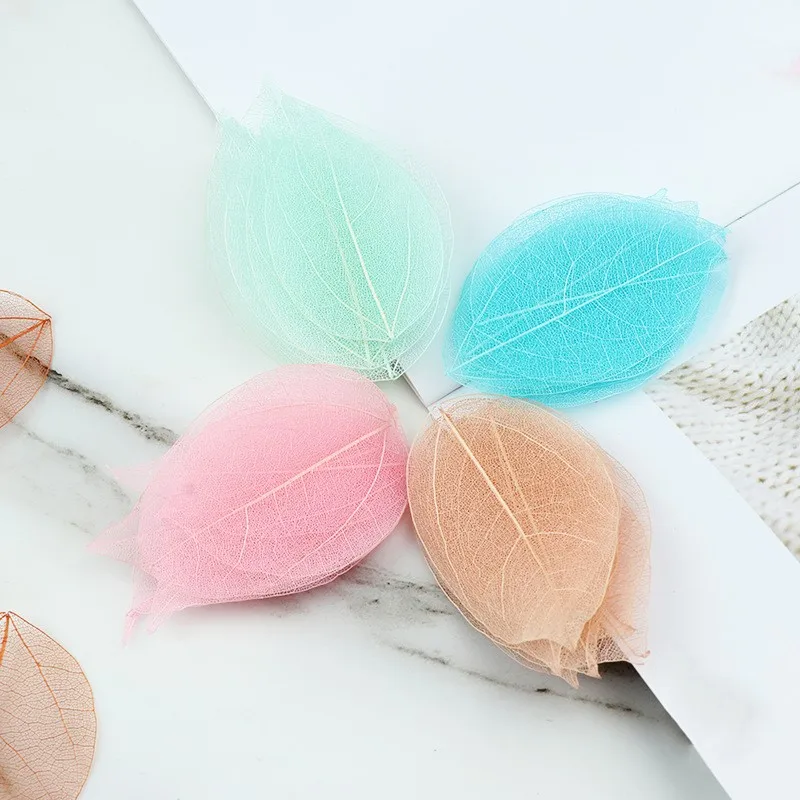 

100pcs 4-10cm Dried Flowers Natural Colorful Peepul Large-Tree Leaves Skeleton Wedding Party Home Decor Mural Bookmark Craft