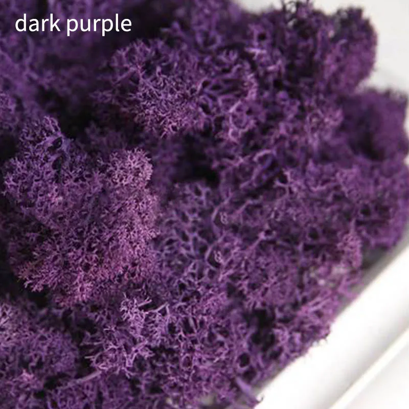 dark purple 10 г/упак. искусственное растение вечная жизнь мох домашний сад микро пейзаж DIY цветок материал живой мох Подарочная коробка поставки - Цвет: dark purple