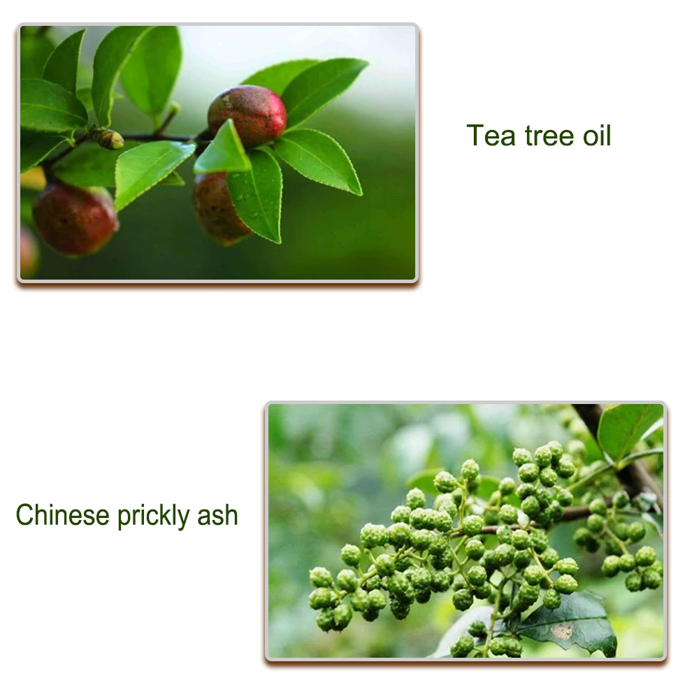 Грибковая Сыворотка для ногтей эссенция противоинфекции боронихия средство