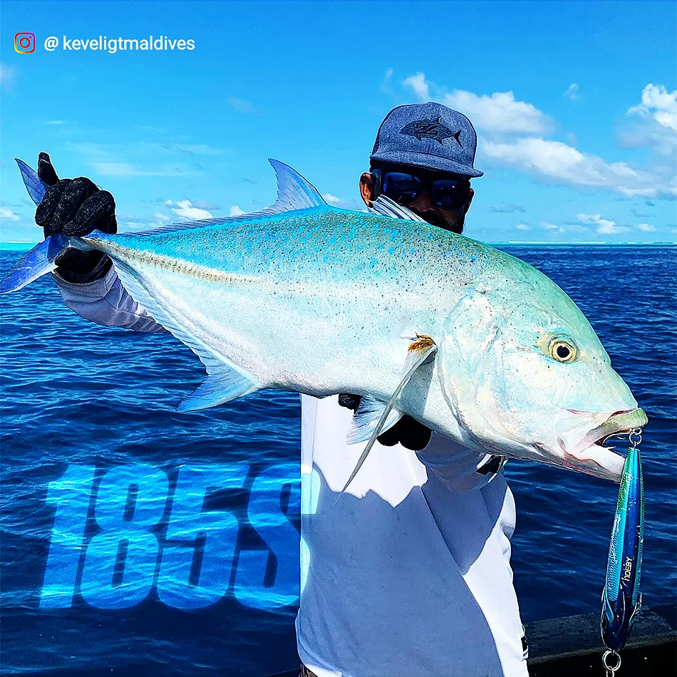 

NOEBY 2pcs Stickbaits Sea Pelagus NBL9493 115mm/150mm/185mm Pencil Lure Wobbler Hard Trolling Lure Isca Artificial Para Pesca