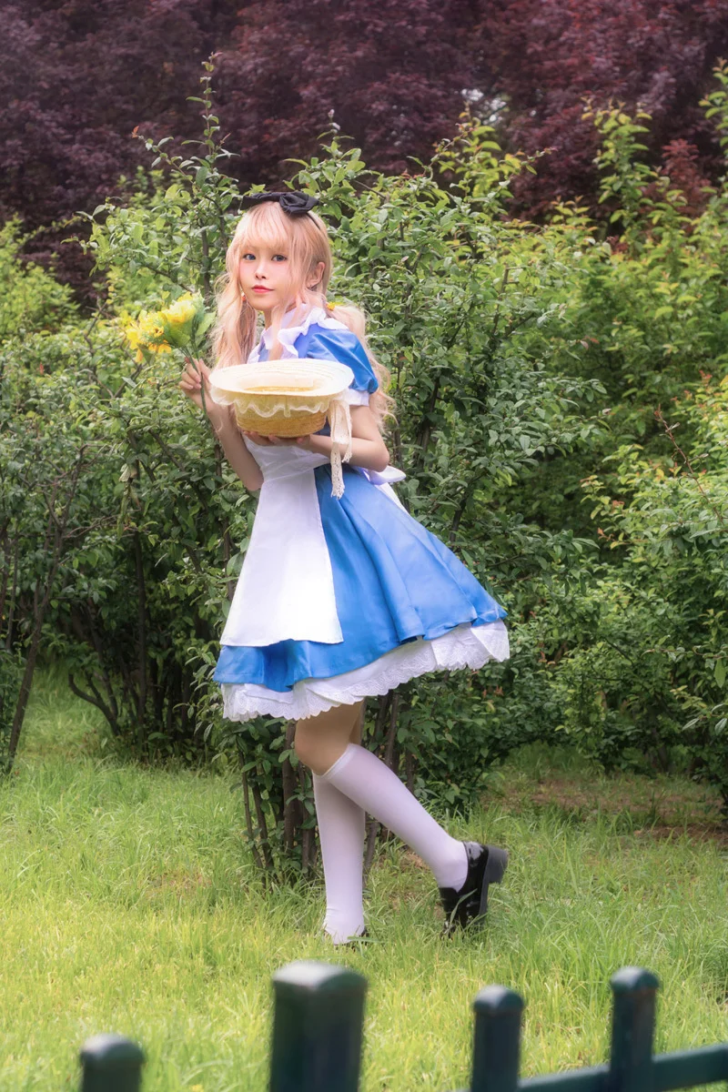 Женский костюм для косплея Алиса в стране чудес| |