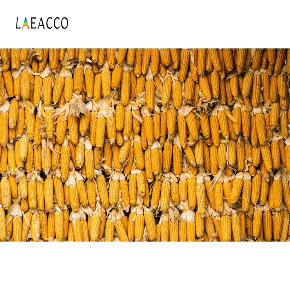 Laeacco осень для фермы кукурузы Cob награда сцена фотографии пейзажные картины