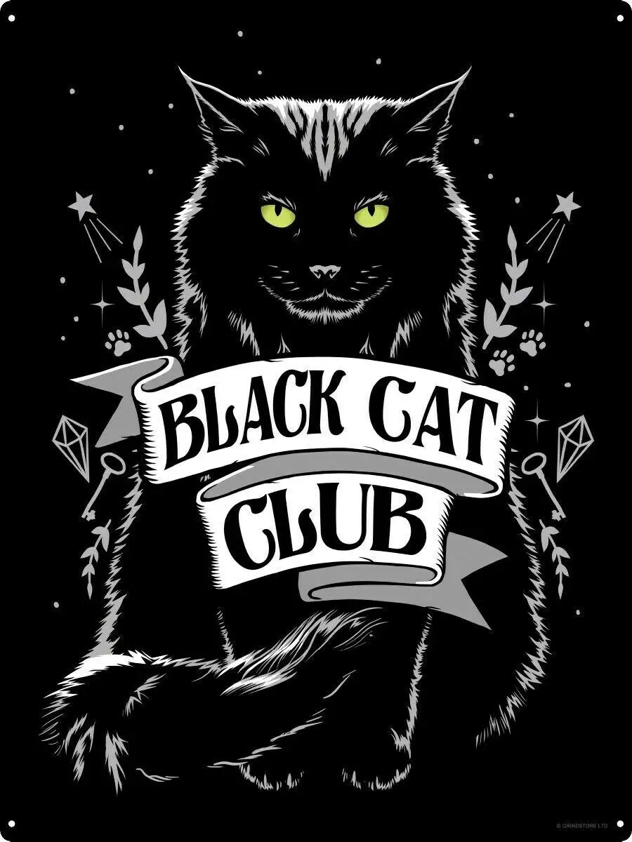 

Black Cat Metal Plaque Retro Tin Sign Wall Decoration Bar Club Cave Decoration Home Classic Retro 20x30cm
