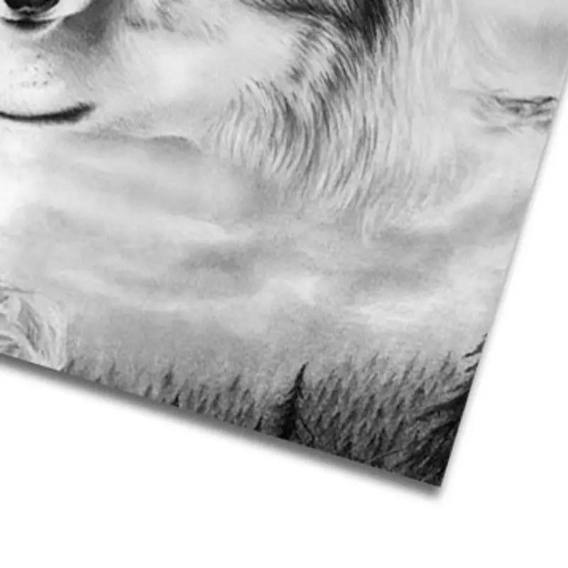 Новинка лидер продаж DIY холст настенное искусство черный и белый волки картина