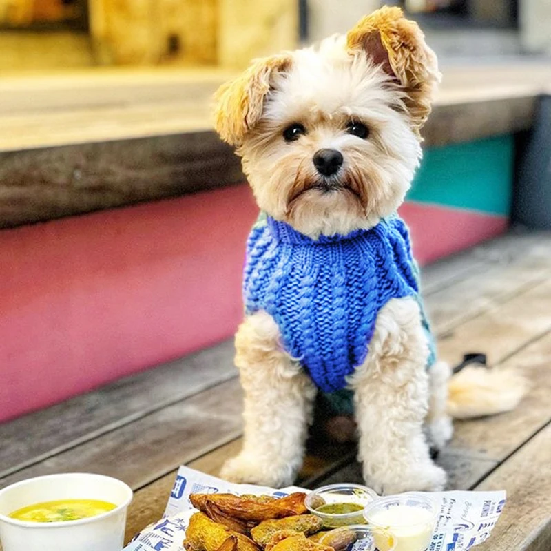 Свитер для кошек одежда домашних животных осень зима теплый вязаный свитер