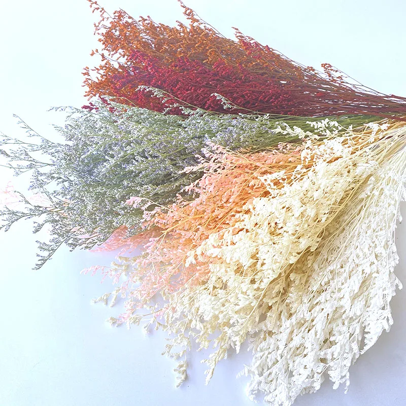 Натуральный Свежий сушеная Сохраненная Искусственные цветы Гипсофилы