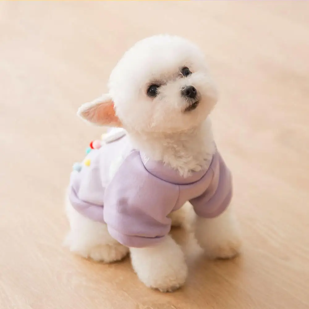 

Cute Pet Dog Clothes Puppy Sweater T-shirt Shirt Cute Rainbow Printing Pajamas Cat Winter Autumn Shirt For Chihuahua Small Dogs
