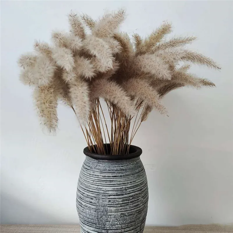Фотофон с китайскими пампасами травой свадебными цветами букетами 50 стеблей для