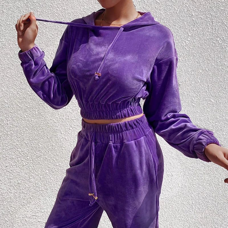 Sweatsuit Tracksuit Solid Velvet Hooded Women Two Piece Set Crop Top and Harem Pants Casual Jogger Autumn Sexy Sportswear TZ04 |