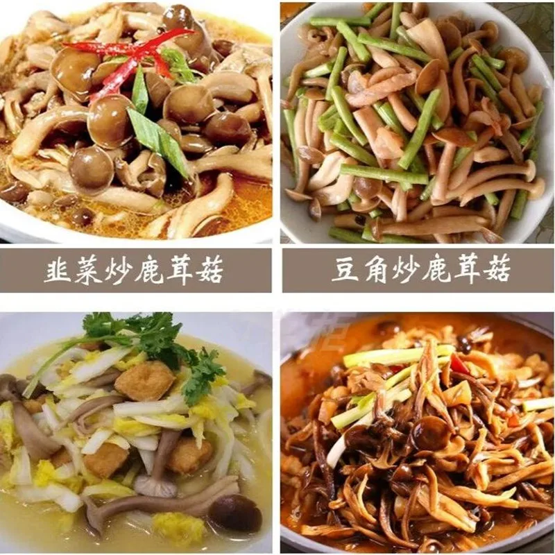 

Hot selling Antler mushroom, dried Antler mushroom, from Chinese health food, lu rong gu, free shipping
