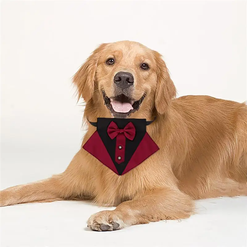 

1 Set Pet Dog Bib Tie Stylish Dog Saliva Triangular Scarf for Outdoor
