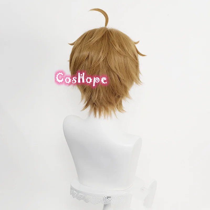 

Rudeus Greyrat Cosplay Jobless Reincarnation Cosplay Mushoku Tensei 30cm Brown Wig Cosplay Anime Heat Resistant Synthetic Wig