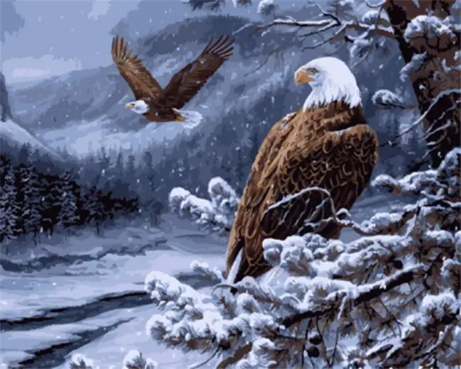 Рисование по номерам на холсте с рамкой | Дом и сад