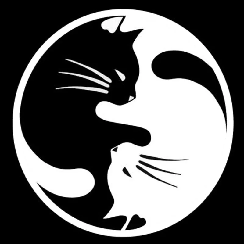 

Yang Ying Cats Fashion Cartoon Car Sticker Window Decoration Personality Vinyl Decals 15x15cm