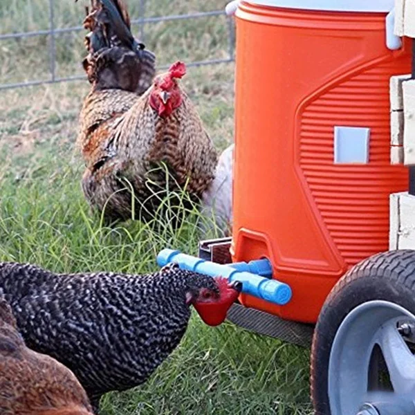 4x3x8 см Птица питьевой воды чашки автоматического курятники птицы для кур