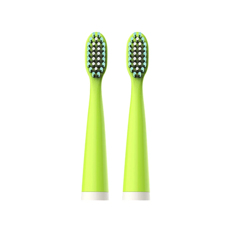 green 2 pieces Langtian 4 шт. 2 шт. головка звуковой зубной щетки DUPONT сменные головки для электрической зубной щетки подходит для Langtian Z02 Z03 Z06 Z08 Z09 Z18 - Цвет: green 2 pieces