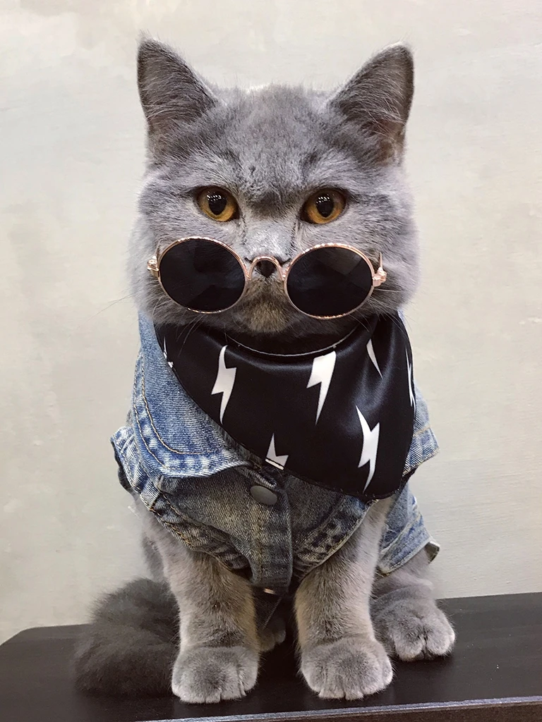 Симпатичные Pet джинсовый костюм для собаки кошки одежда домашних питомцев Кошки