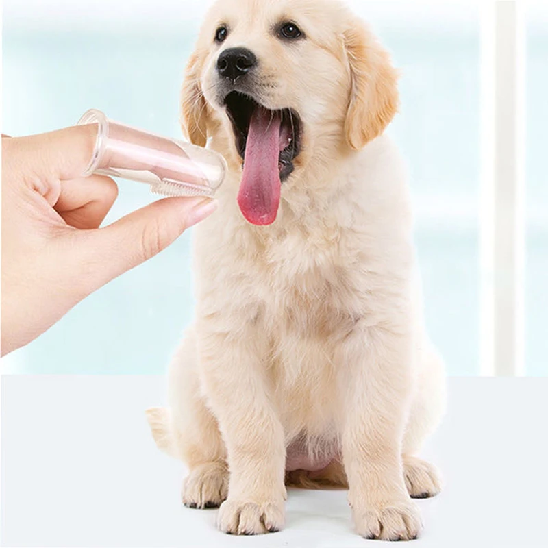 

Pet Cleaning Kit Dog Toothbrush Edible Toothpaste Silicone Finger Brush Puppy Healthy Care Pet Supplies for Small Medium Dog