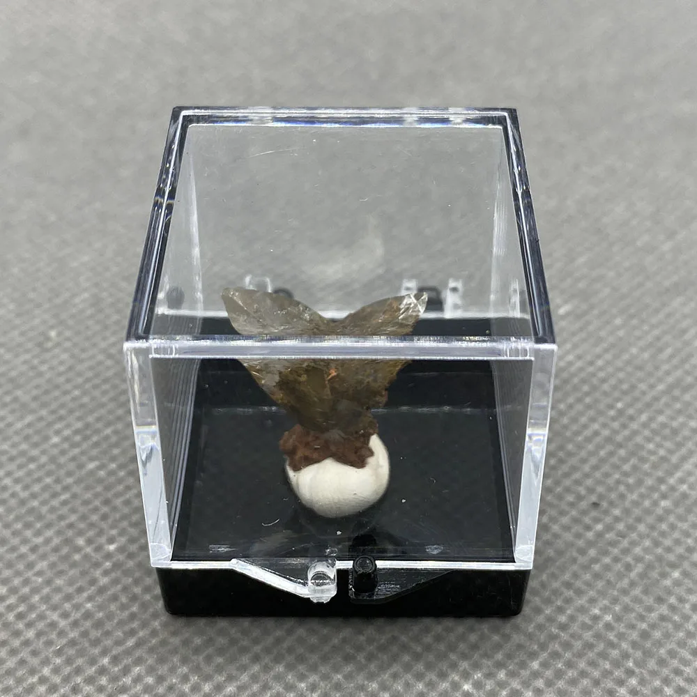 

Natural swallowtail twin crystals are very rare and good specimens +Box size 35 mm D 40#