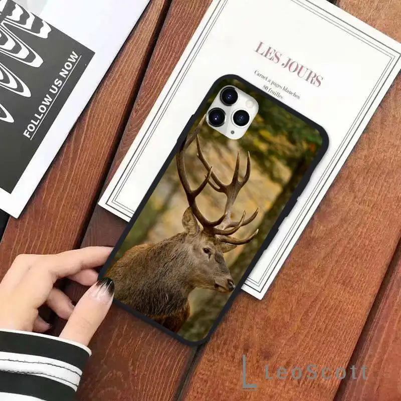 

David Medusa plaster funny art Phone Cases for iPhone 11 12 pro XS MAX 8 7 6 6S Plus X 5S SE 2020 XR Soft silicone