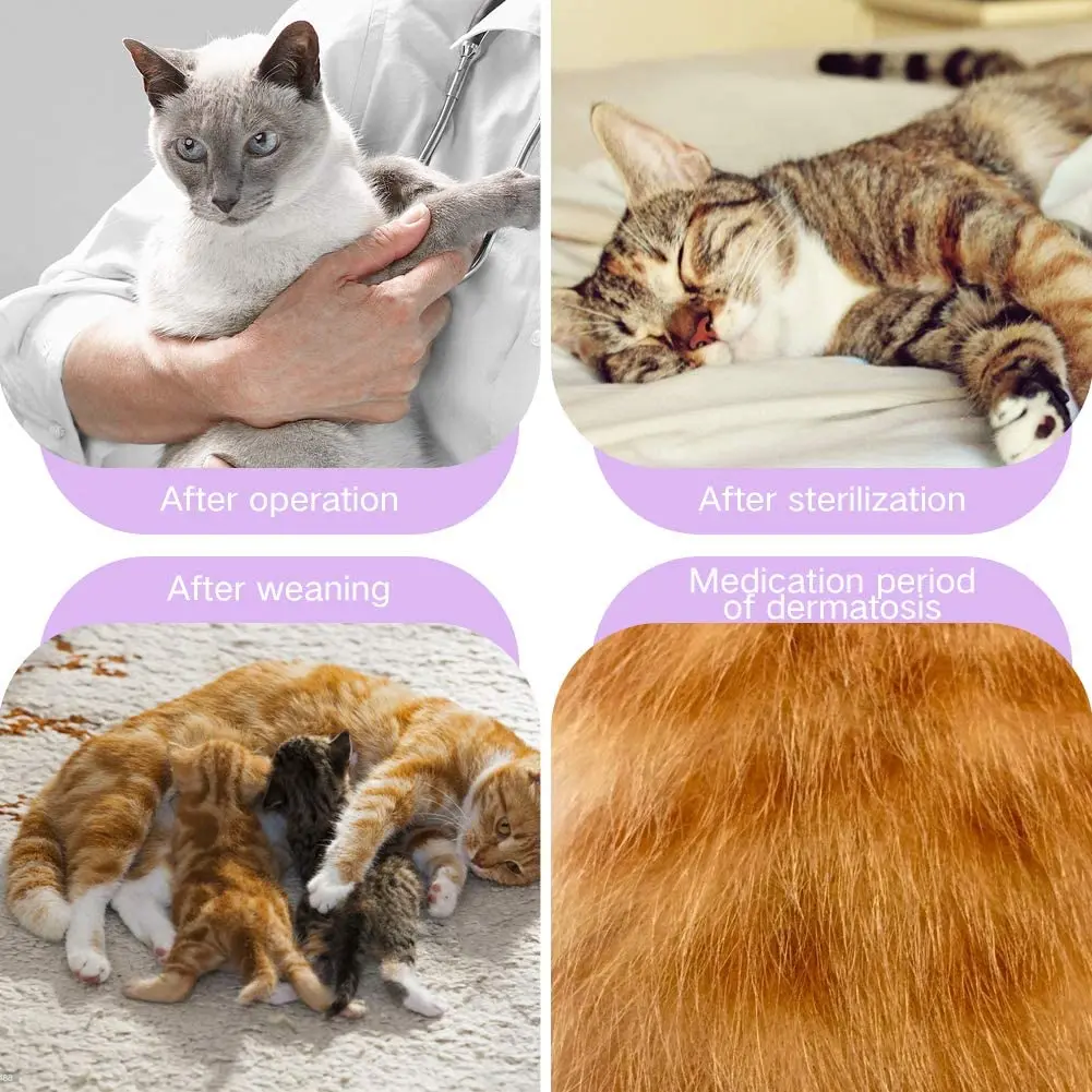 

Cat Recovery Suit Cat Puppy Clothes Sterilization Care Wipe Medicine Prevent After Surgery Wear Anti Pet Licking Wounds Clothes