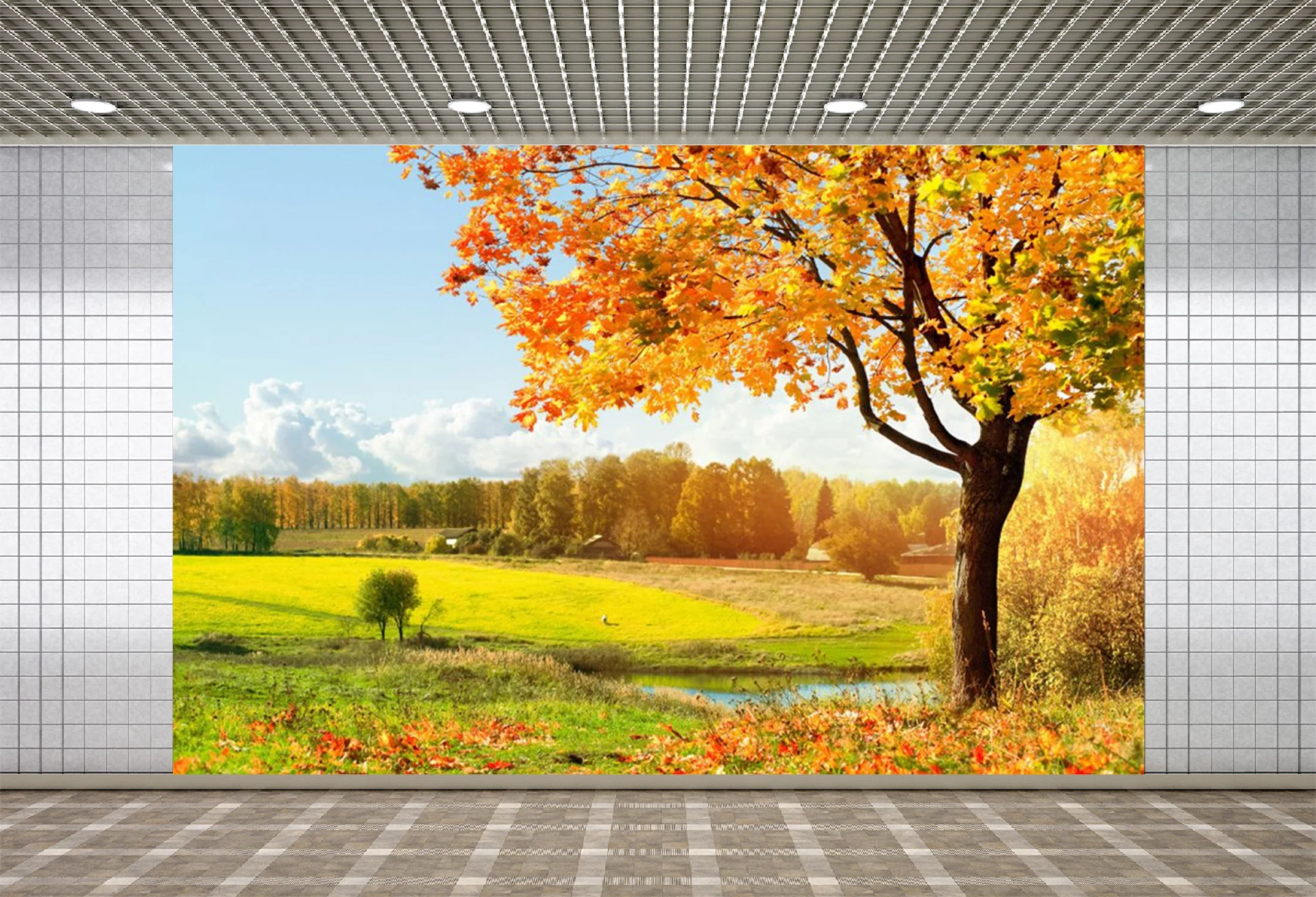 

Lyavshi Autumn Yellow Rural Filed Harvest Seasons Tree Scenic Photographic Backgrounds Photography Backdrops Photo Studio Props