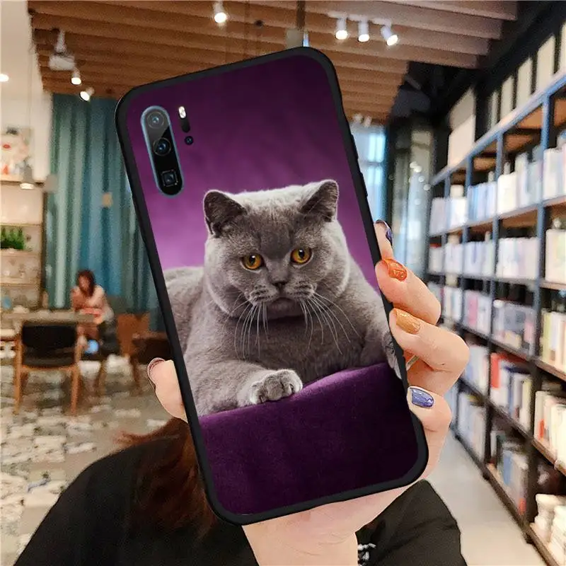 

Webbedepp British Shorthair cat Phone Case For Huawei honor Mate P 9 10 20 30 40 Pro 10i 7 8 a x Lite nova 5t