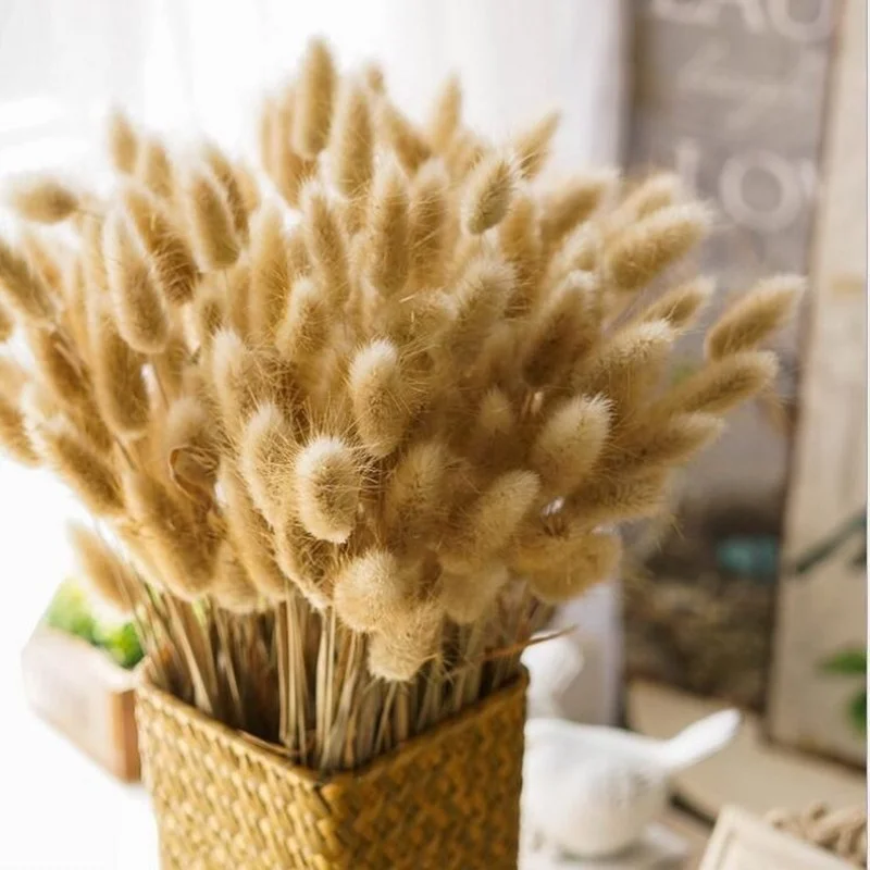 

10Pcs/Lot Dried Flowers Rabbit Bunny Tail Grass Pampas Grass Natural Plants Bouquet Lagurus Ovatus Wedding Christmas Decoration