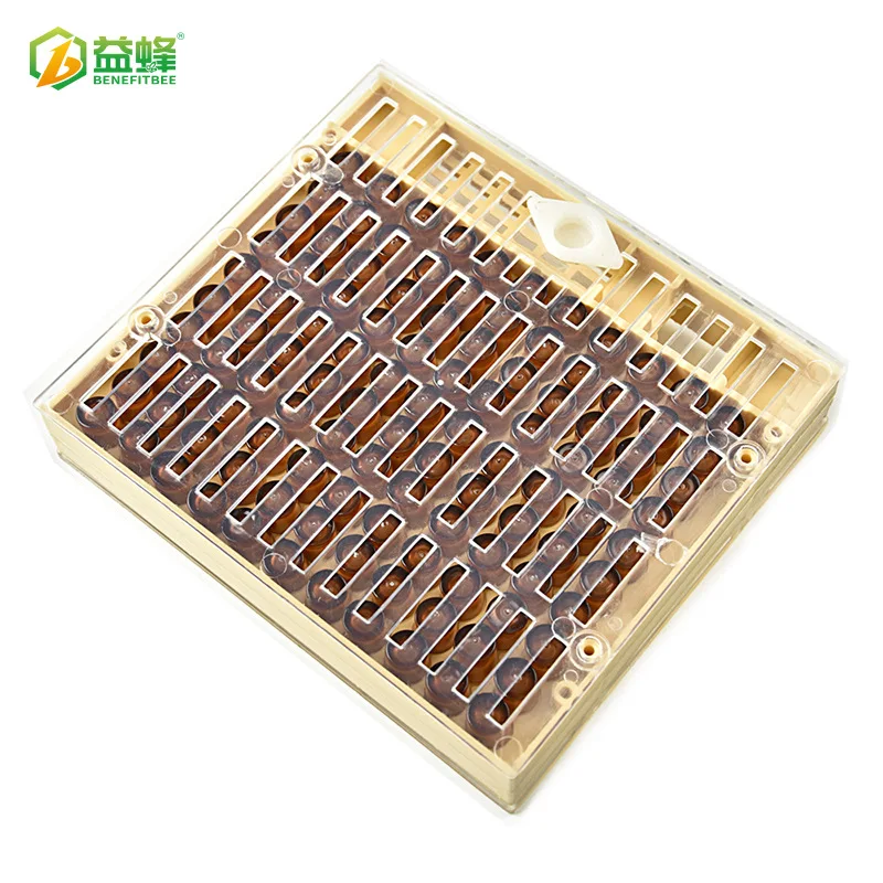 

Beekeeping tools bee insect-free shift Wang is intended to bee queen bee cultivation Yu Wang Tai supporting beehive box