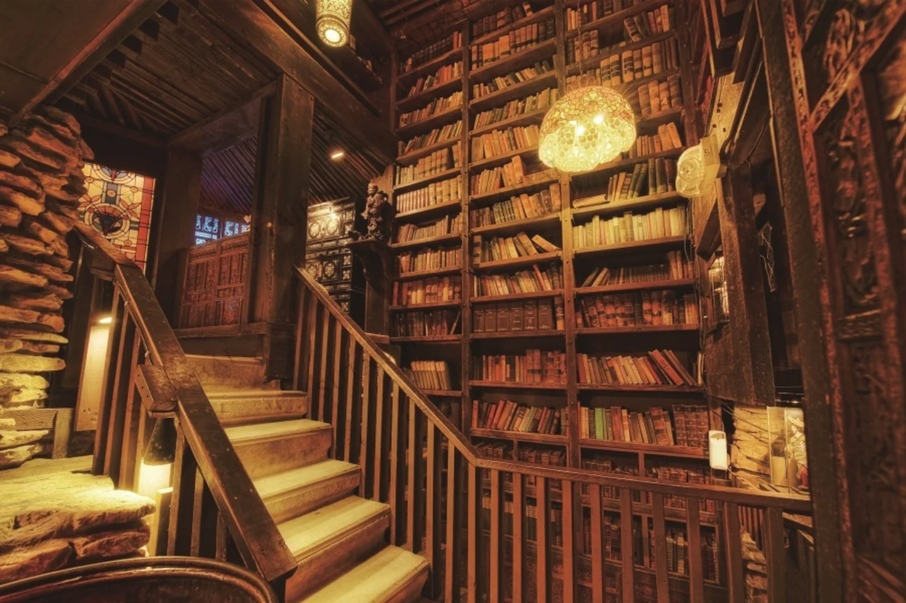 

Old Books Wood Bookshelf Bookcase for Library Child Portrait Photography Backdrop Photocall Photo Studio Background Photophone