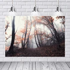 Laeacco фото фон Хэллоуин тема осень психоделический лес фотография фон для фотостудии Фотофон реквизит