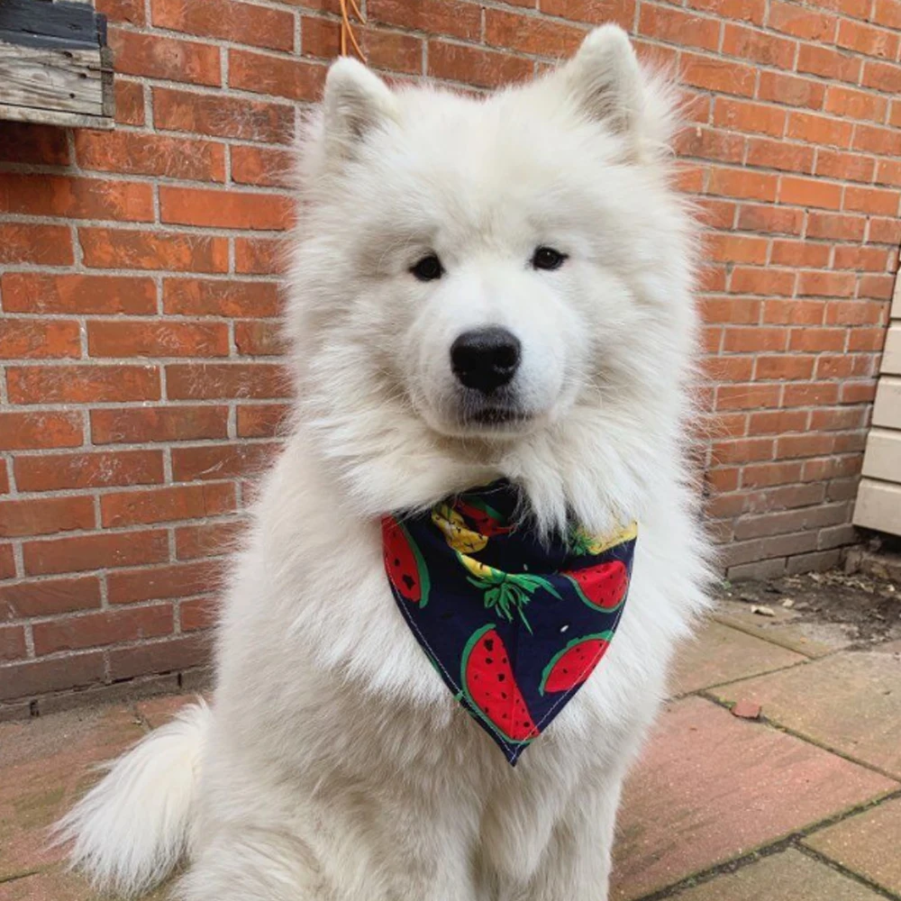 

Fruit Print Pet Dog Bandana Small Dog Cat Scarf Adjustable Cotton Dog Puppy Bandanas Bibs Summer Pet Dog Grooming Accessories