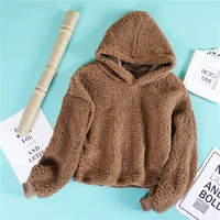 hoodie autumn and winter new womens korean version of the hooded solid color lambskin casual short student pullover