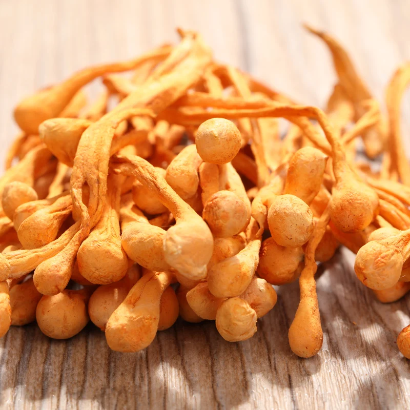 

500g Chinese Organic Wild Cordyceps Flower Sinensis Flower High Quality Pure Cao Hua For Improve immunity