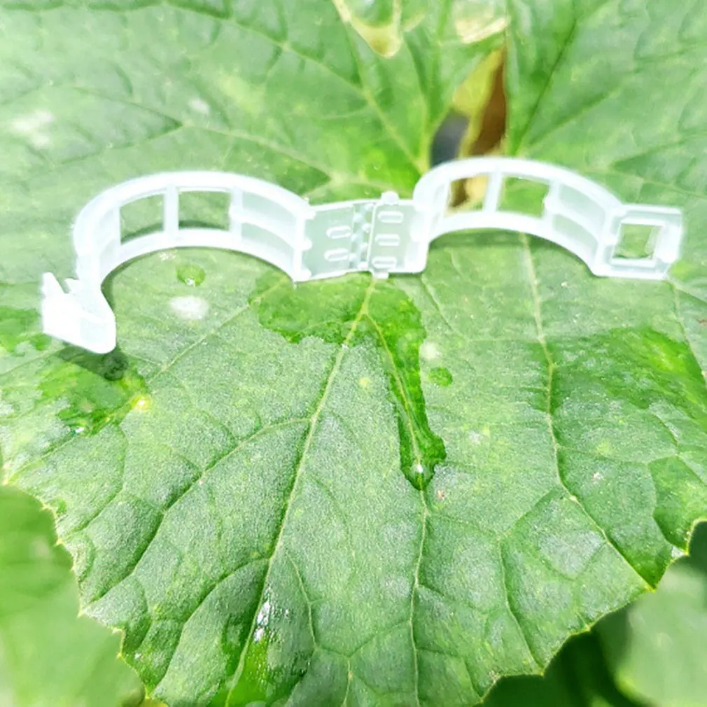 

Vine Fixing Clip Increase Efficiency Tomato Plants Supplies Plastic Clip Watermelon Clip Durable And Lightweight Clip