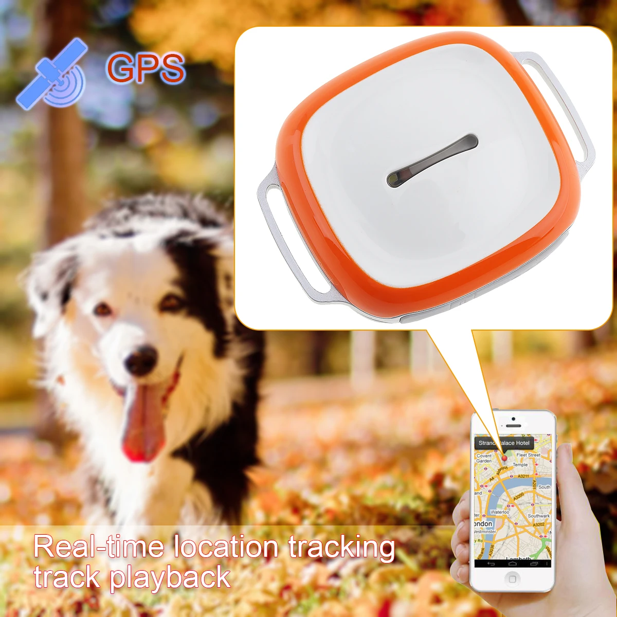 GT011 водонепроницаемый мини gps трекер локатор с wifi GSM GPRS трекер для домашних животных кошек собак
